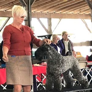 Meet your Posher, Cheryl